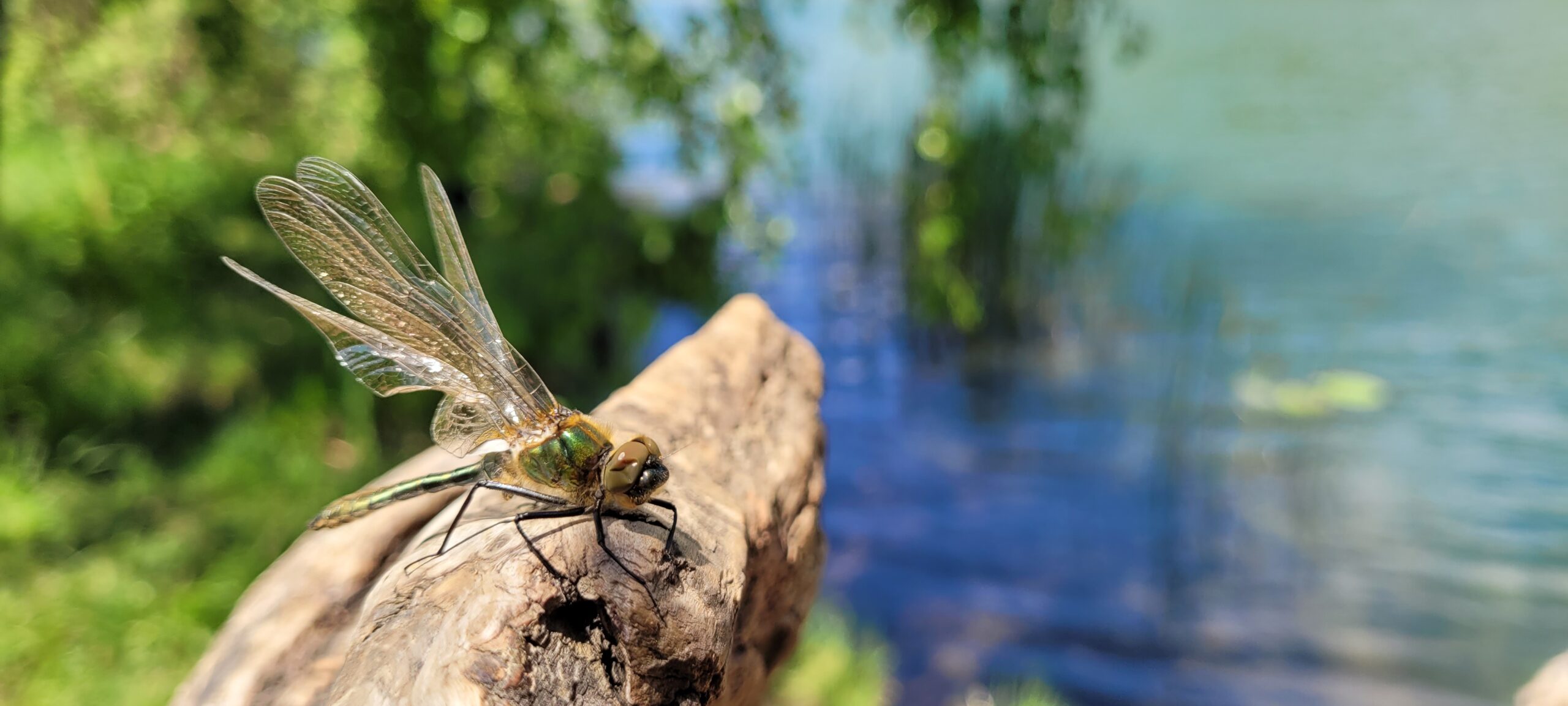 L'Auberge du Lac de La Thuile - Le lac